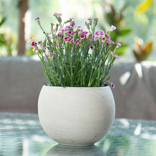 Granite Lunar Sphere 26cm