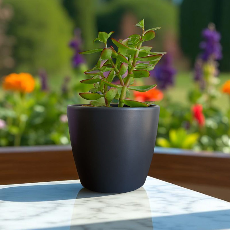 Pot Cover Panna Matt Black 26cm