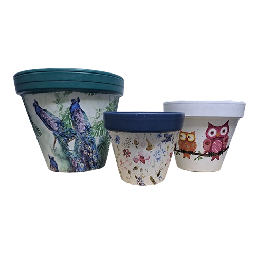 Rose Pots
